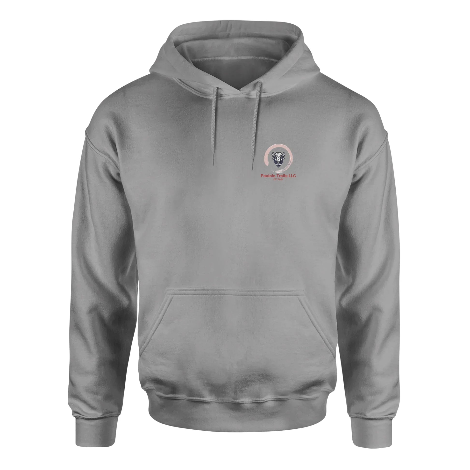 Unisex 1776 Biblend Hoodie by American Print On Demand, front view showing dark gray fabric with printed design.
